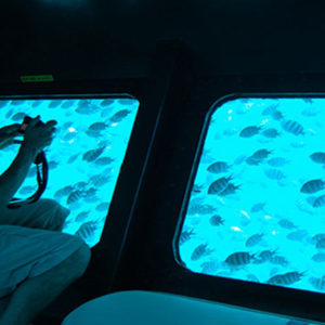 sea-wolf