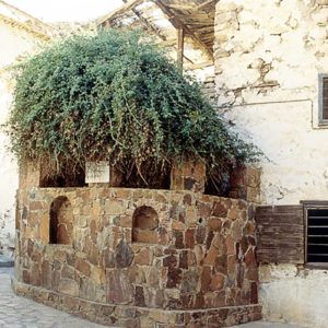 monastyr-svyatoy-ekateriny-sharm-el-sheih-egipet_04